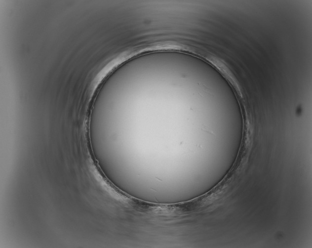 X0000116880805200912291241