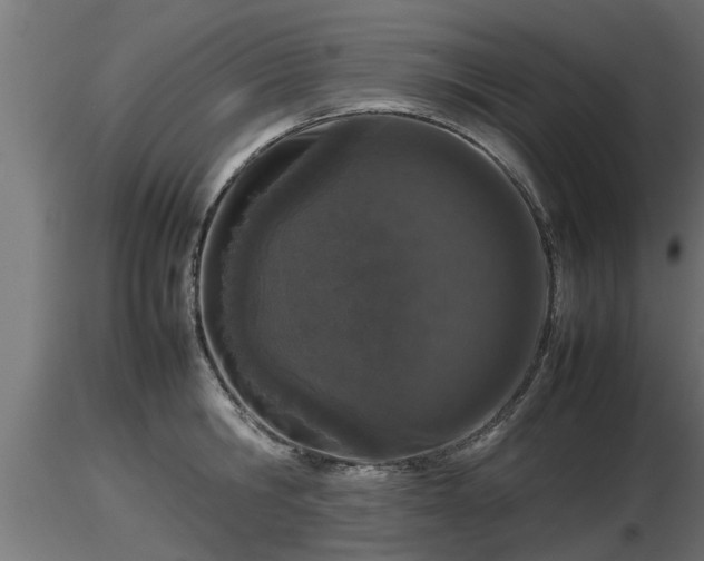 X0000116880806200912291241