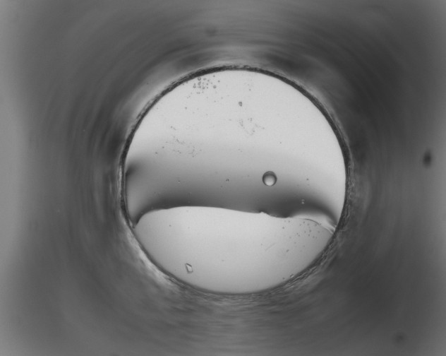 X0000116880807200912291241