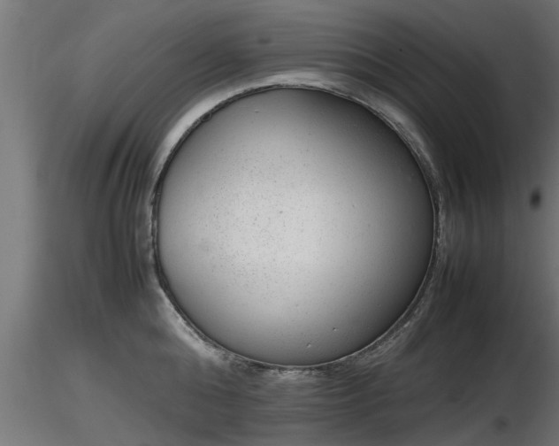 X0000116880808200912291241