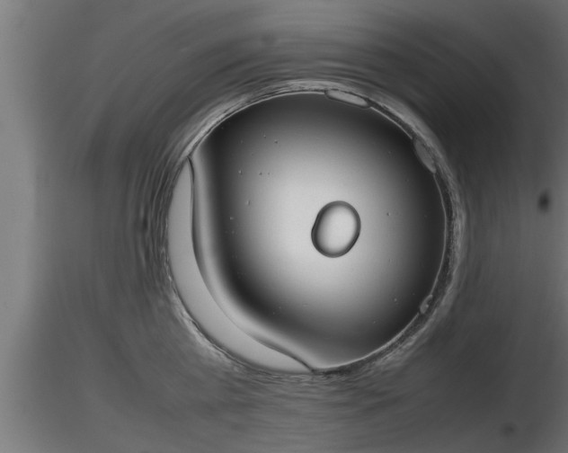 X0000116880809200912291241