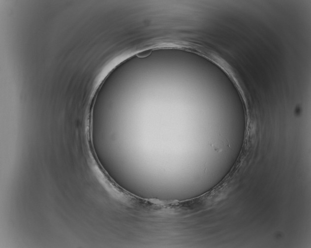 X0000116880811200912291241