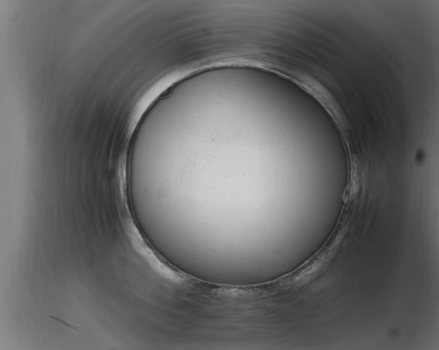 X0000116880812200912291241