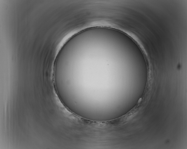 X0000116880815200912291241