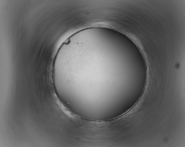 X0000116880816200912291241