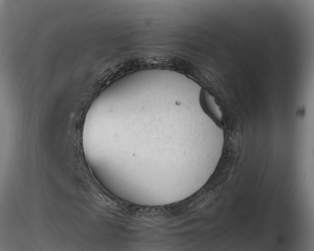 X0000116880817200912291240