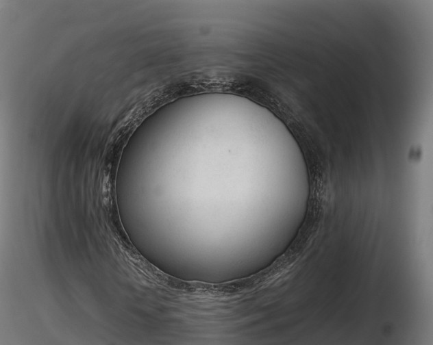 X0000116880818200912291240