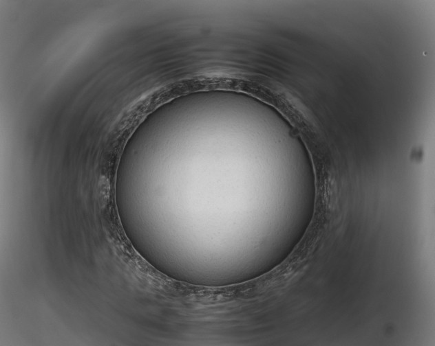 X0000116880821200912291240