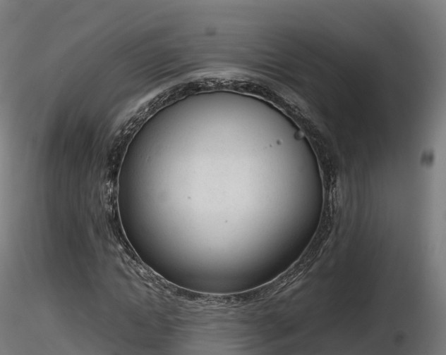 X0000116880822200912291240