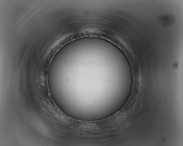 X0000116880823200912291240