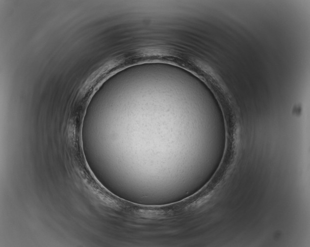 X0000116880825200912291240