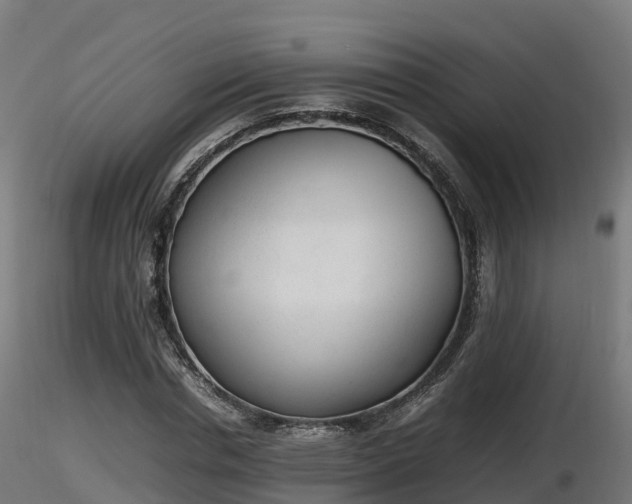 X0000116880826200912291240