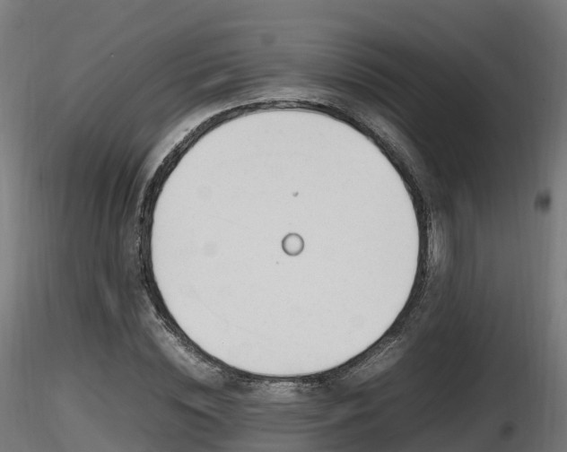 X0000116880828200912291240