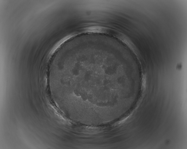 X0000116880829200912291240