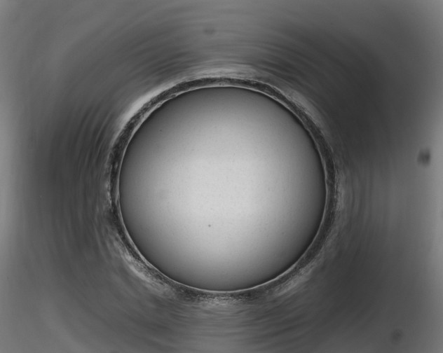 X0000116880830200912291240