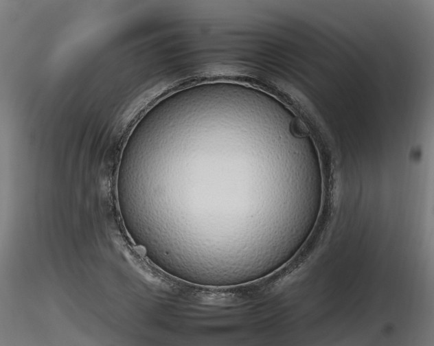 X0000116880833200912291240