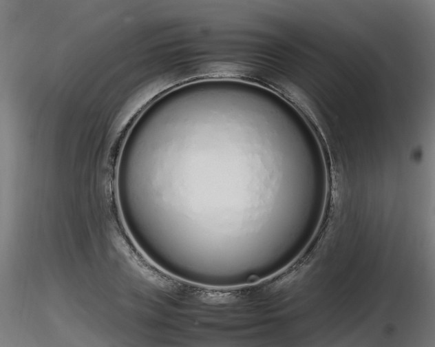 X0000116880835200912291240