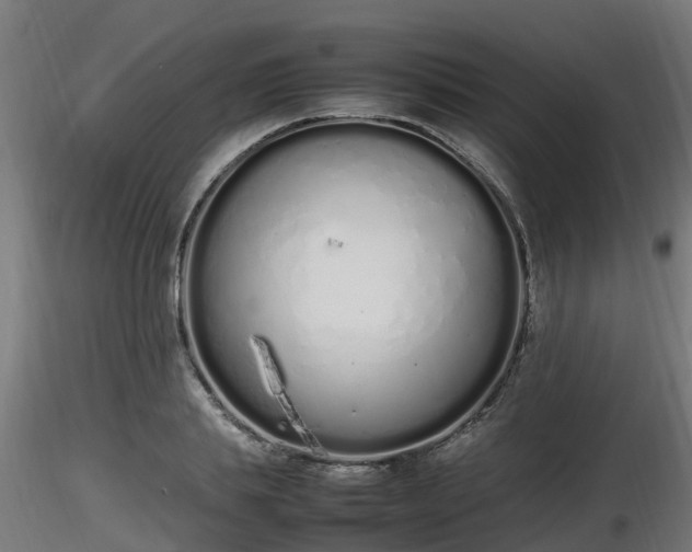 X0000116880839200912291240