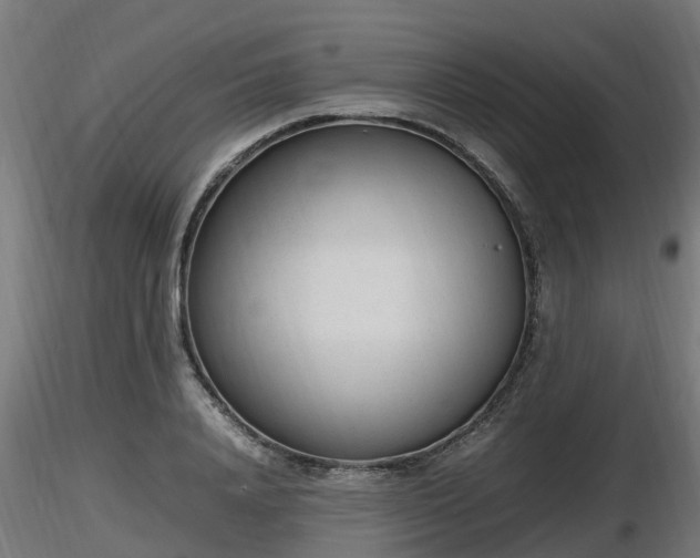 X0000116880840200912291240