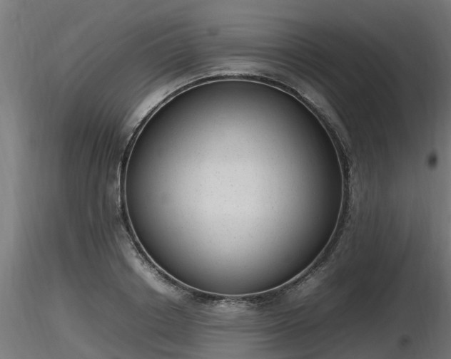X0000116880842200912291240