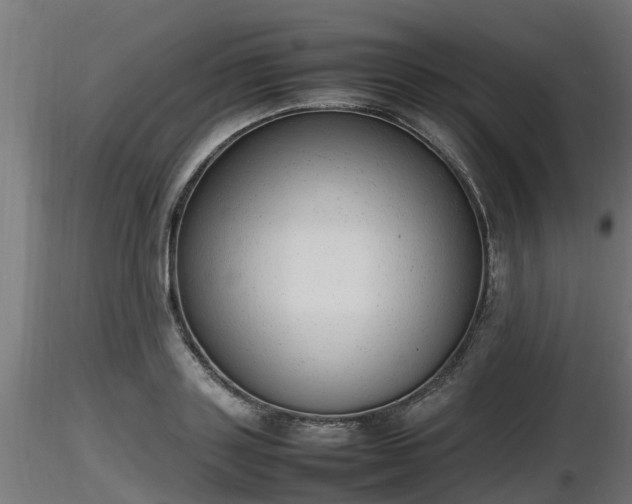 X0000116880843200912291240