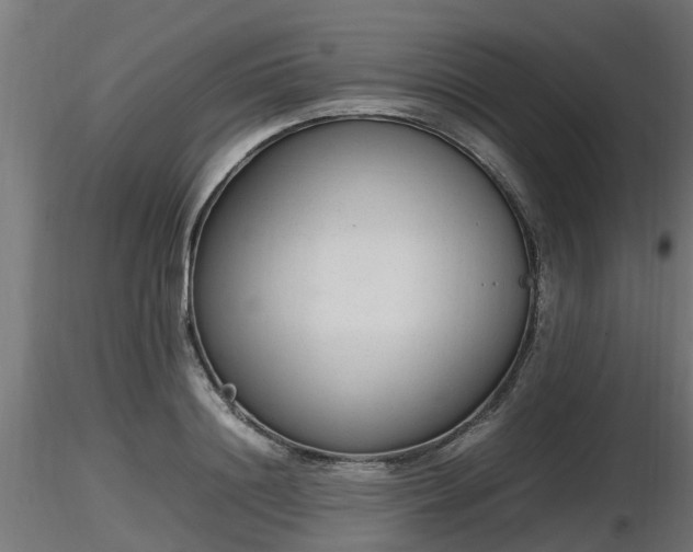 X0000116880844200912291240