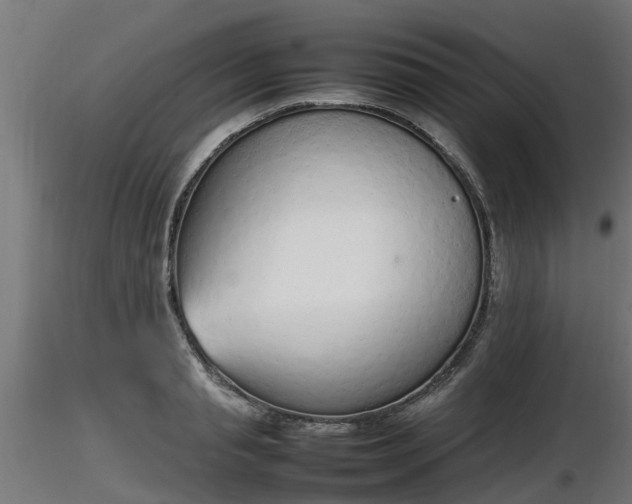 X0000116880845200912291240