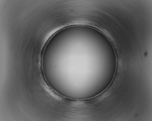 X0000116880846200912291240