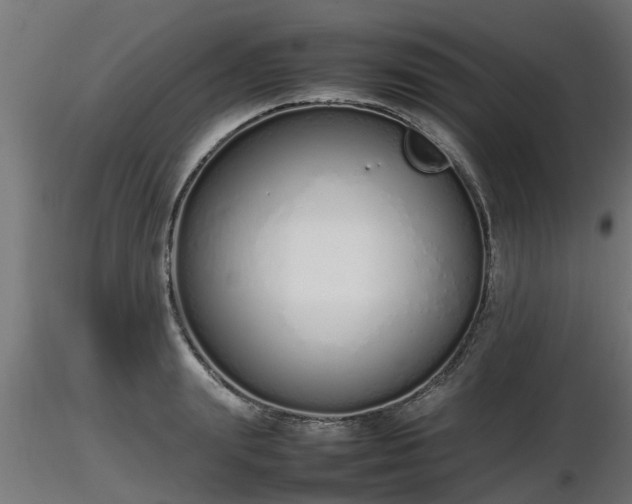 X0000116880847200912291240