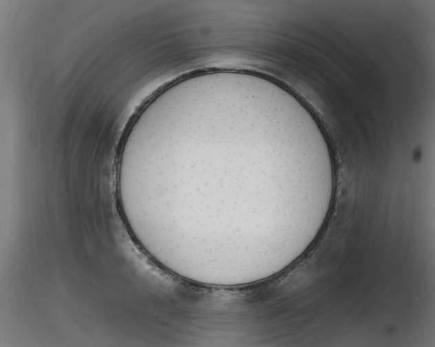 X0000116880848200912291240