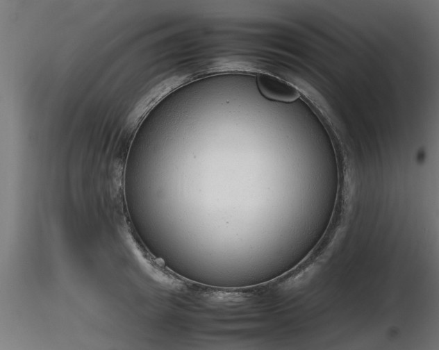 X0000116880849200912291240