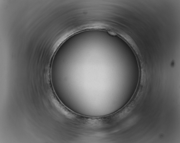 X0000116880850200912291240