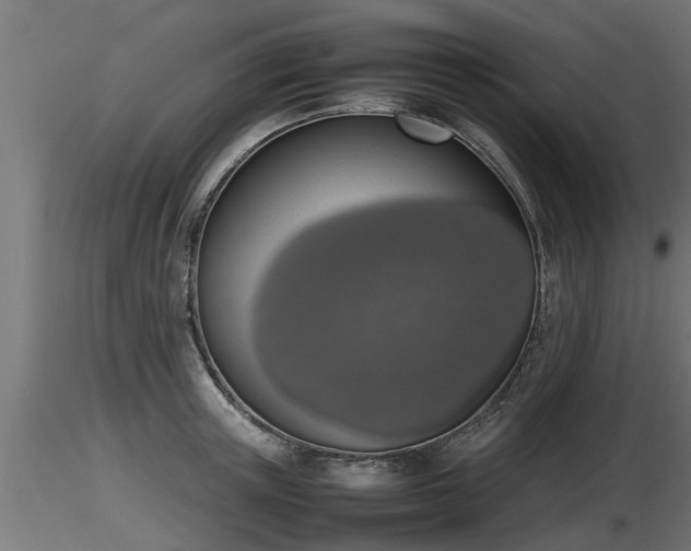 X0000116880851200912291241