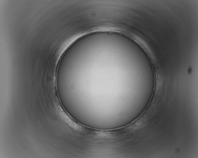 X0000116880852200912291241