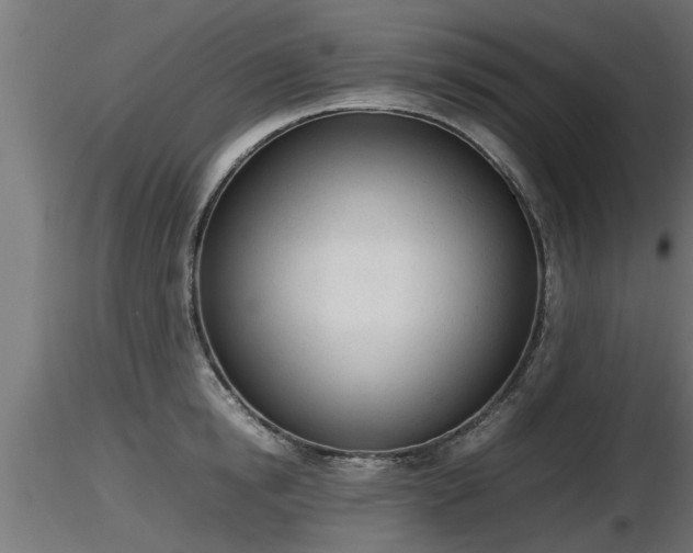 X0000116880854200912291241