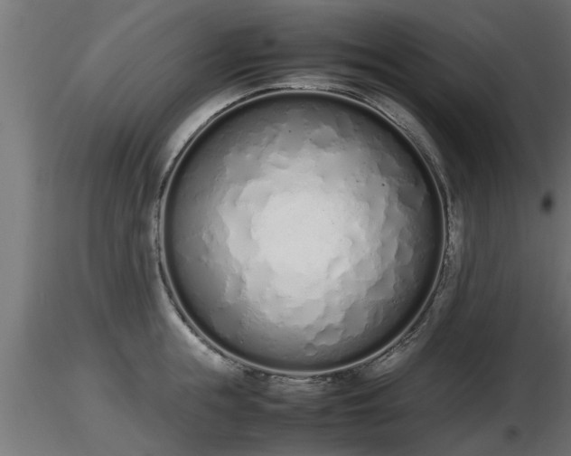 X0000116880855200912291241