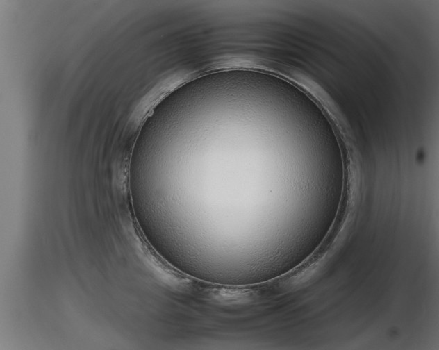 X0000116880857200912291241