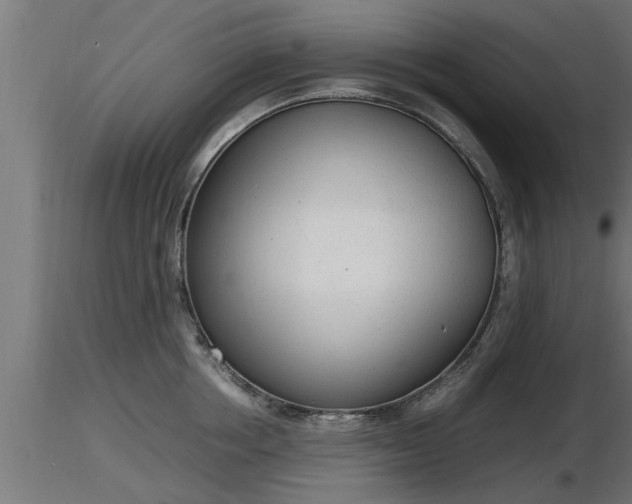 X0000116880858200912291241