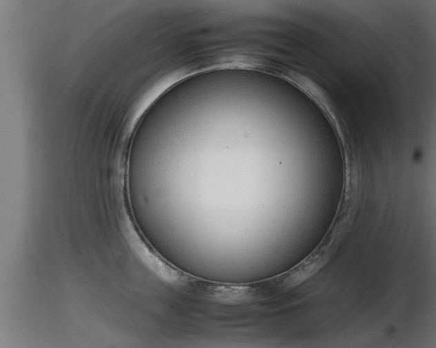 X0000116880859200912291241