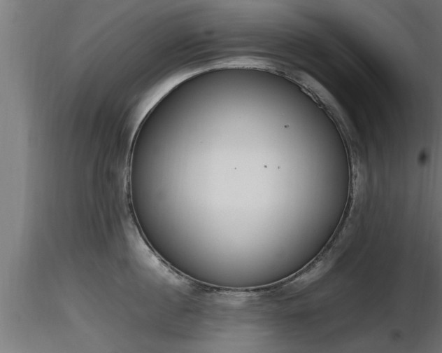 X0000116880860200912291241
