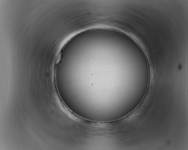 X0000116880862200912291241