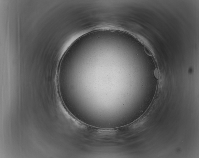 X0000116880863200912291241
