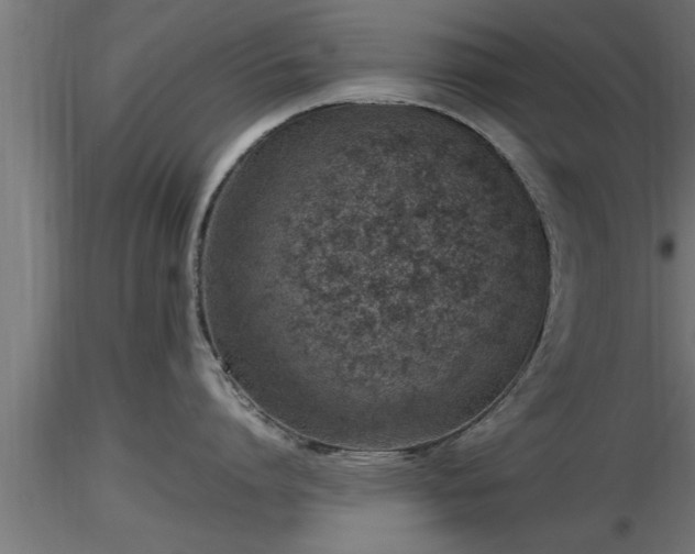 X0000116880864200912291241