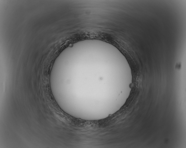 X0000116880865200912291240