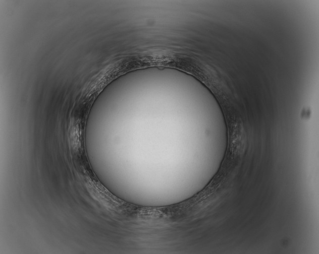 X0000116880866200912291240