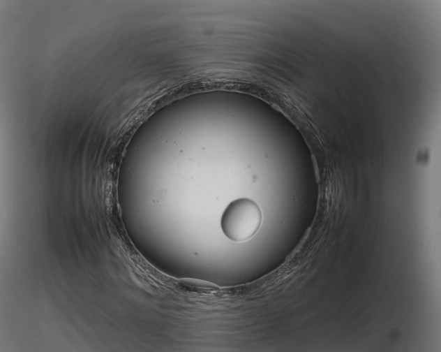 X0000116880868200912291240
