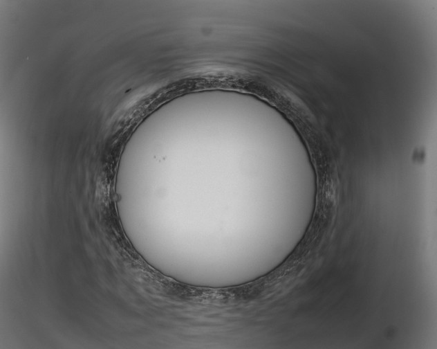 X0000116880869200912291240