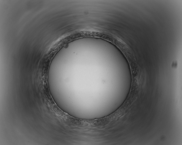 X0000116880870200912291240