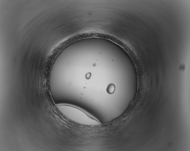 X0000116880872200912291240