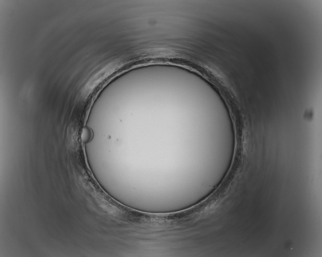 X0000116880873200912291240